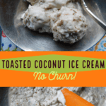 PIN for toasted coconut ice cream