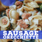 PIN for Sausage Orecchiette