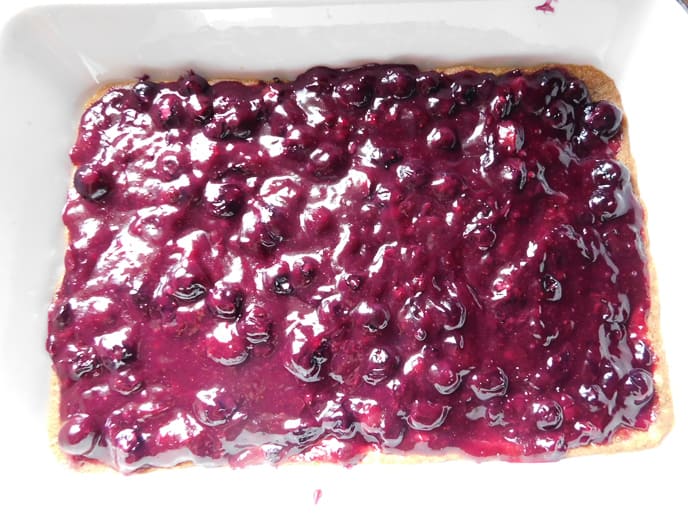 Whole Wheat Blueberry Bars