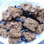 Whole Wheat Blueberry Bars