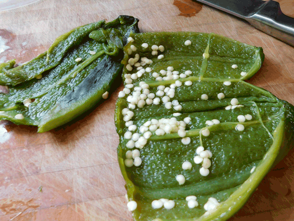 Green peppers roasted and cut open on choppig board with seeds