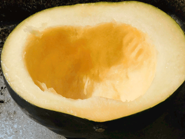 Cut open raw acorn squash