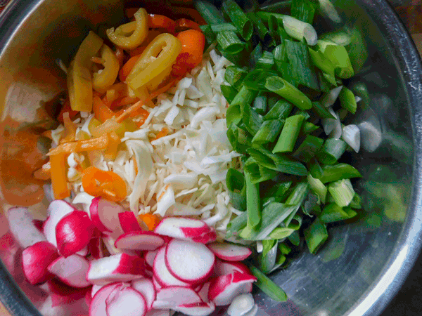 Cabbage, radishes, green onions and pickled peppers ina silver mixing bowl