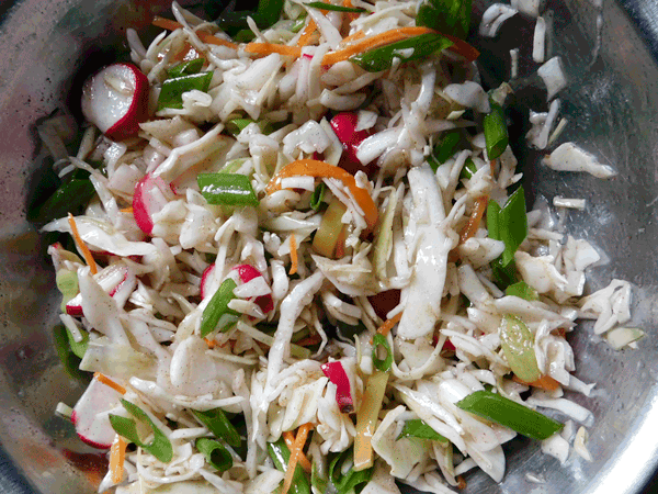 Coleslaw with oil & vinegar dressing and radishes, peppers and green onions