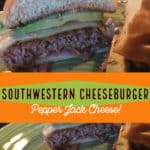 PIN for Southwestern Cheeseburger
