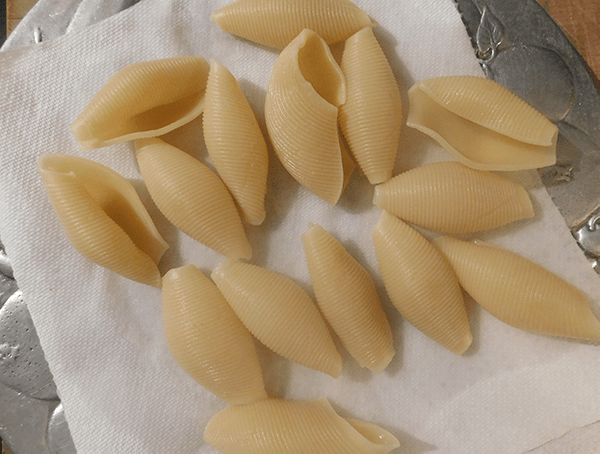 cooked pasta shells on a paper towel on a silver platter