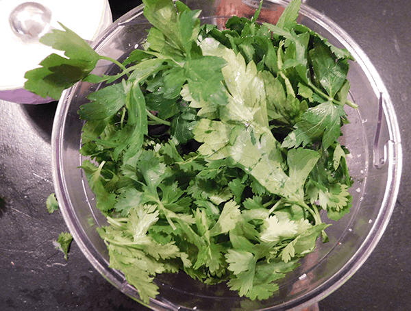 Cilantro in food processor prepping Chimichurri Sauce