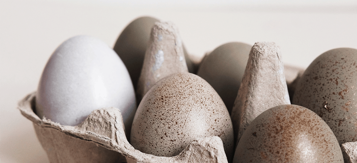 The Well Seasoned Mom