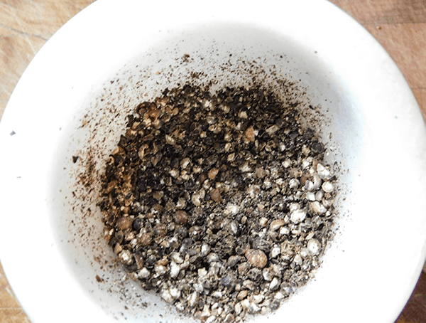 Cracked pepper in mortar