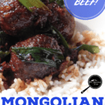 PIN for Mongolian Meatballs