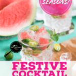 PIN for 20 Seriously Festive Coktail Recipes