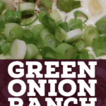 PIN for Green Onion Ranch