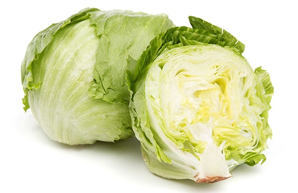 Iceberg Lettuce for Mini Wedge 