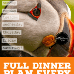 PIN for Weekly menu 03.28.21