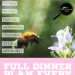 PIN for Weekly Menu 07.17.22