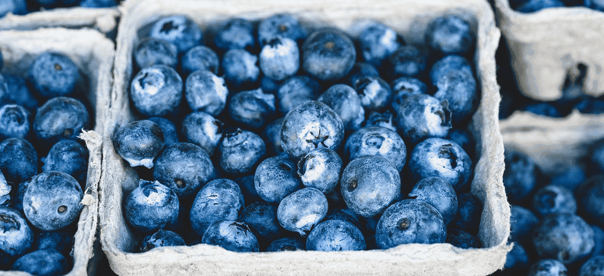 The Well Seasoned Mom