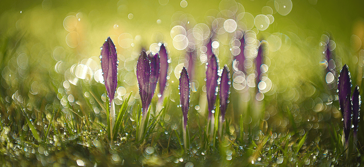 The Well Seasoned Mom