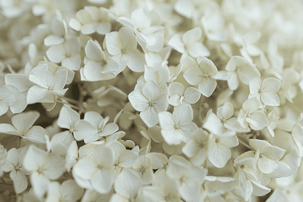 WEEKLY MENU 01.04.26