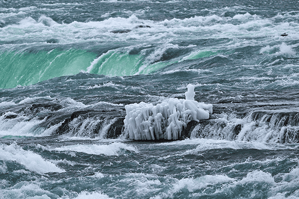 WEEKLY MENU 02.22.26