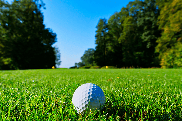 WEEKLY MENU 04.12.26