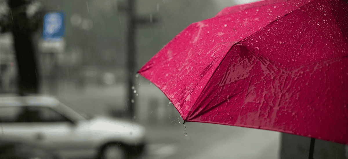 The Well Seasoned Mom